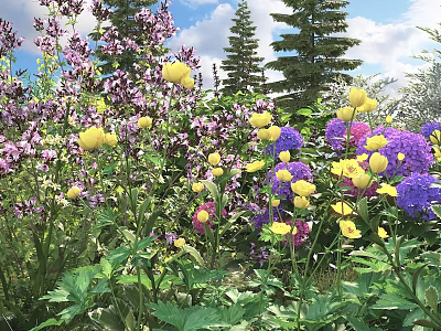Colorful Blooming Flowers and Green Plants in Garden with Blue Sky and Tall Trees 3d model