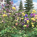 Colorful Blooming Flowers and Green Plants in Garden with Blue Sky and Tall Trees