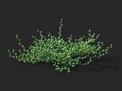 Fresh Green Succulent Plant With Clustered Small Leaves For Indoor Decoration 3d model