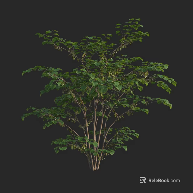 Lush Green Arbor With Multiple Branches And Dense Foliage Against Black Background 3d model