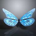 Blue Glowing Butterfly With Shiny Transparent Wings And Reflection On Dark Background