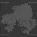 Tall Lush Tree With Green Leaves And Yellow Blooms Against Dark Background With Human Silhouette