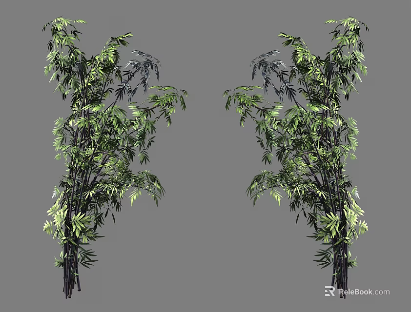 Lush Green Bamboo Plants With Tall Stems And Vibrant Leaves In Natural Scene 3d model 