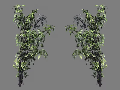 Lush Green Bamboo Plants With Tall Stems And Vibrant Leaves In Natural Scene 3d model