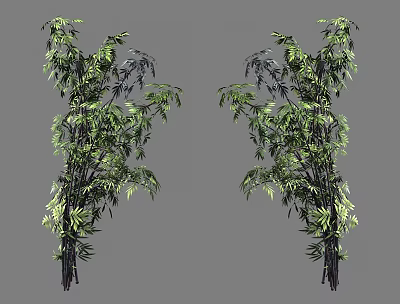 Lush Green Bamboo Plants With Tall Stems And Vibrant Leaves In Natural Scene 3d model