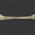 Ancient Long Bone Specimen With Natural Texture On Dark Background 3d model