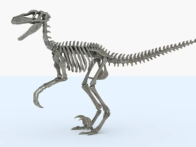 Public Facility Museum Dinosaur Skeleton Exhibition Educational Display Space For Visitors 3d model