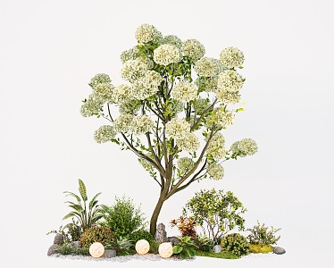 Arbor Chinese Wood Hydrangea Tree Flower Tree Flower Tree Flower Plant Green Plant 3d model