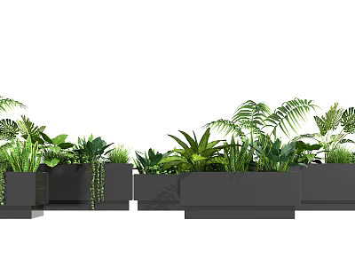 Decorative Potted Plants With Various Greenery In Black Rectangular Planters 3d model