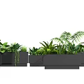 Decorative Potted Plants With Various Greenery In Black Rectangular Planters 3d model