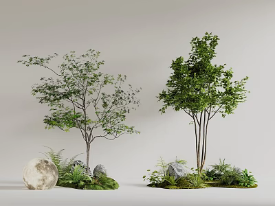 Arbor Trees With Green Leaves Surrounded By Stones Ferns And Natural Landscape 3d model