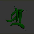 Fresh Green Chili Peppers Displayed on Dark Background for Cooking