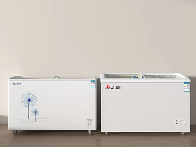 White Zhigao Washing Machines With Dandelion Pattern And Double Door Design Display In Room 3d model