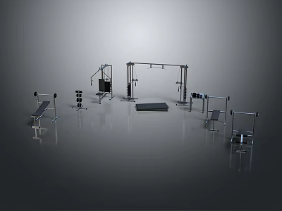Professional Sports Equipment For Home And Gym Strength Training With Dumbbells Barbells And Benches 3d model