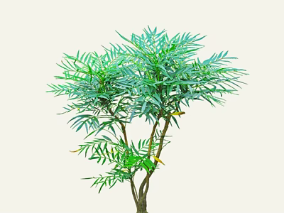Lush Green Shrub With Dense Foliage And Vibrant Leaves In Natural Growth 3d model