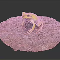 Vibrant Yellow Frog Sitting On Textured Rock Against Gray Background 3d model