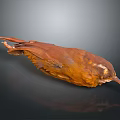 Brown Bird Taxidermy Specimen With Detailed Plumage And Reflection On Dark Background 3d model