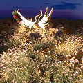 Enchanting Garden Landscape with Illuminated Crane Sculptures on Nighttime Grassland with Lighting Decorations and Trees