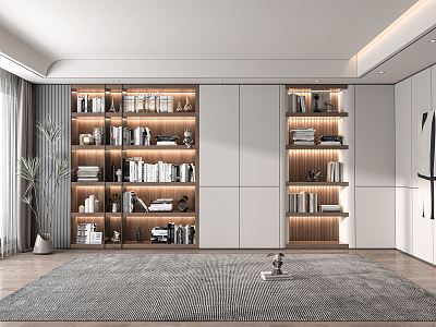 Modern bookcase 3d model