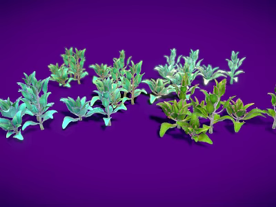 Multiple Vibrant Green Plants with Fresh Leaves Arranged on Purple Background 3d model