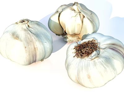Three Fresh White Garlic Bulbs With Natural Texture And Partially Peeled 3d model