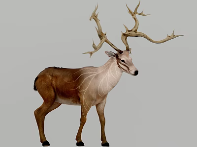 Exotic Reptile With Unique Horns And Scaly Skin In Natural Habitat 3d model