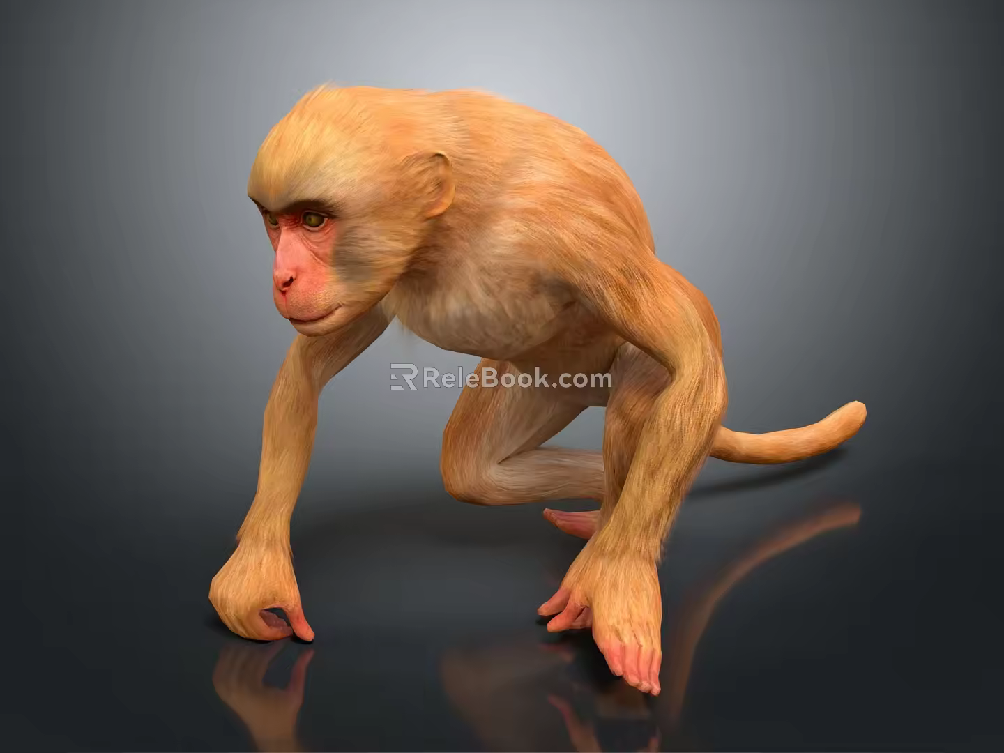 Monkey 3d model