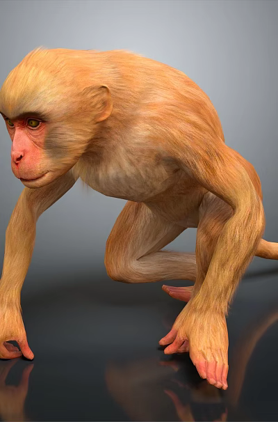 Brown Reptile Crawling On Dark Reflective Surface With Scaly Skin And Long Tail 3d model