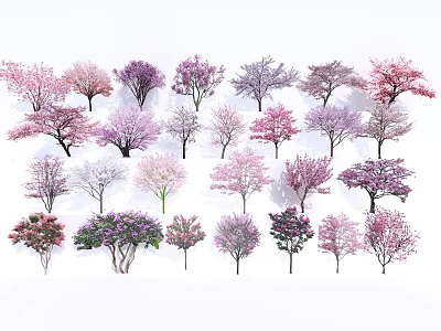 Colorful Flowering Trees Collection With Various Pink Purple And White Blossoms 3d model