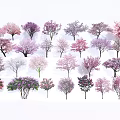 Colorful Flowering Trees Collection With Various Pink Purple And White Blossoms