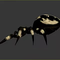 Detailed 3D Spider Model With Black Yellow Pattern And Long Shiny Legs