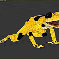 Ze'spotted toad Panamanian frog Bufo 3d model
