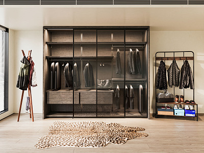 Modern wardrobe combination model