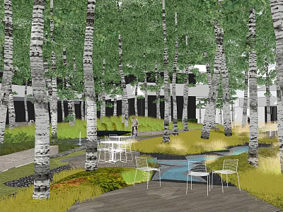 Birch Tree Surrounded Natural Campsite With Outdoor Tables Chairs Lush Grass And Scenic Path 3d model