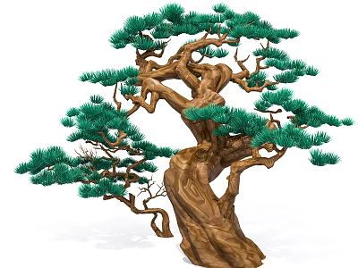 Ornamental Pine Tree With Twisted Branches Thick Trunk And Lush Green Foliage 3d model