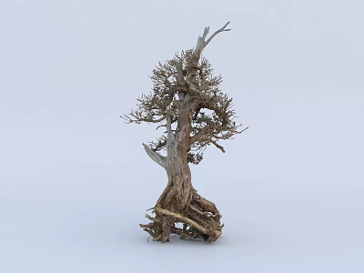 Sculptural Withered Tree With Twisted Trunk Exposed Roots And Dry Branches 3d model