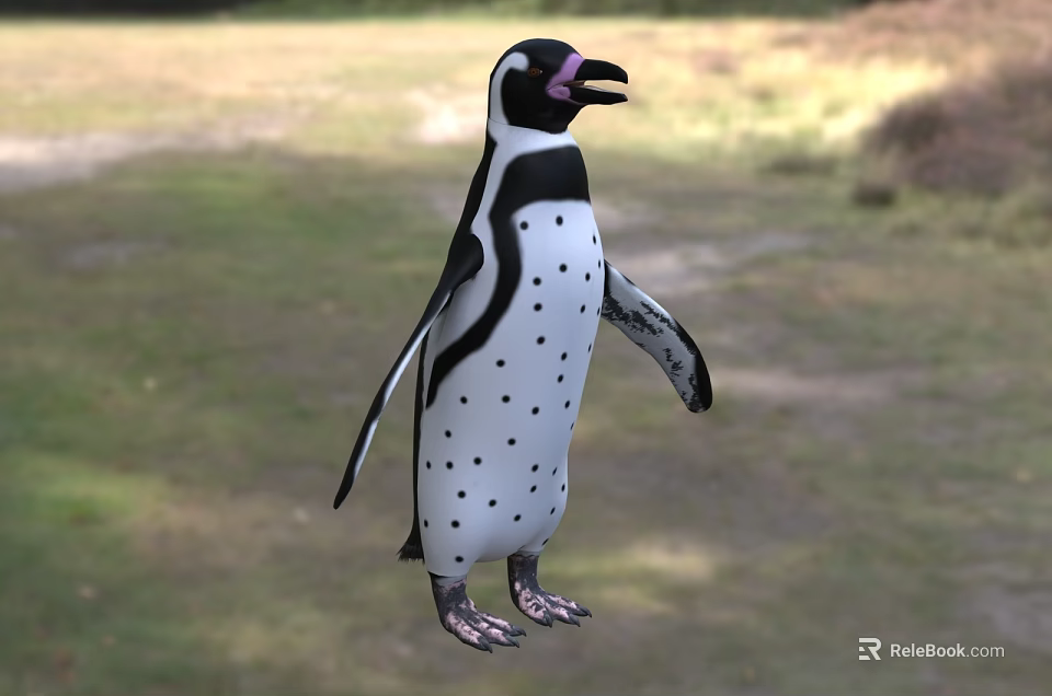 Flying Animal Penguin With Black And White Feathers And Spots Standing On Grassland 3d model 
