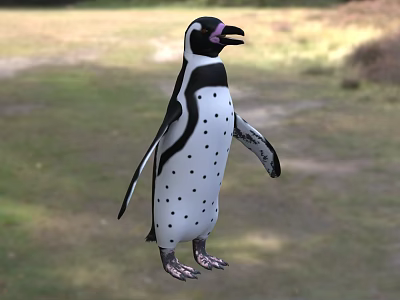 Flying Animal Penguin With Black And White Feathers And Spots Standing On Grassland 3d model