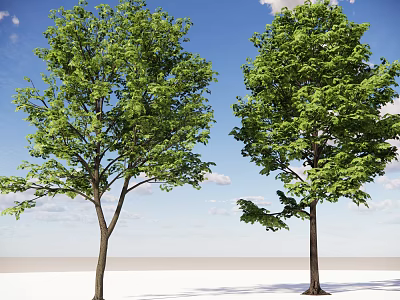 Modern landscape tree dwarf tree red leaf tree deciduous tree iron frame wood roadside tree street tree community greening broad-leaved tree 3d model