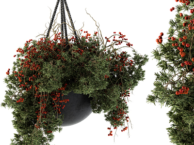 Modern Hanging Basket Hanging Basket Potted Plant model