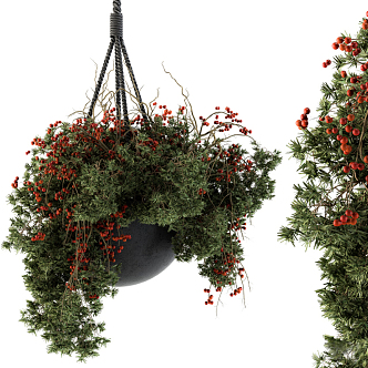 Modern Hanging Basket Hanging Basket Potted Plant 3d model