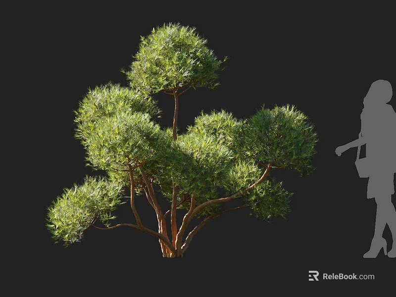 Lush Green Arbor With Dense Foliage And Human Figure For Size Reference 3d model