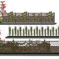 Beautiful Vines Growing On Wooden Garden Fence With Lush Leaves And Pink Blooms