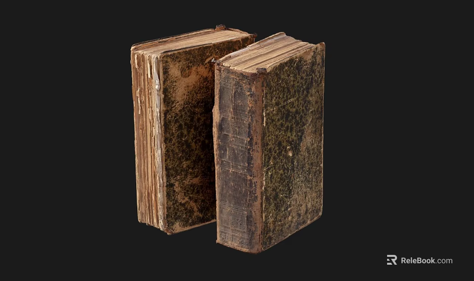 Two Old Vintage Books With Worn Leather Covers And Aged Pages 3d model 