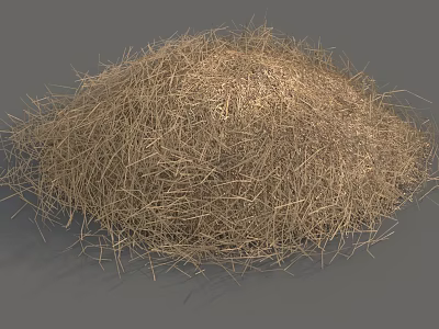 Dried Flowers And Grass Pile With Natural Fibrous Texture And Organic Look 3d model