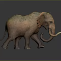 Majestic African Elephant With Long Curved Tusks And Wrinkled Brown Skin