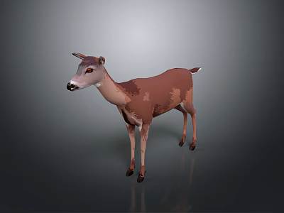 3D Low Poly Deer Model With Brown White Fur Standing On Gray Background 3d model