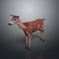 3D Low Poly Deer Model With Brown White Fur Standing On Gray Background 3d model