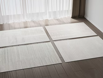 Modern Square Carpet Carpet 3d model
