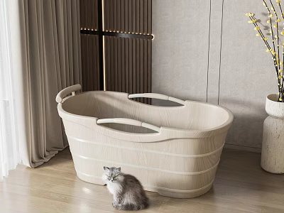 Light Wooden Oval Bathtub With Handles And Small Cat In Modern Interior Room 3d model